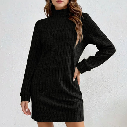 Langley Weekender — Cozy Turtleneck Knit Dress