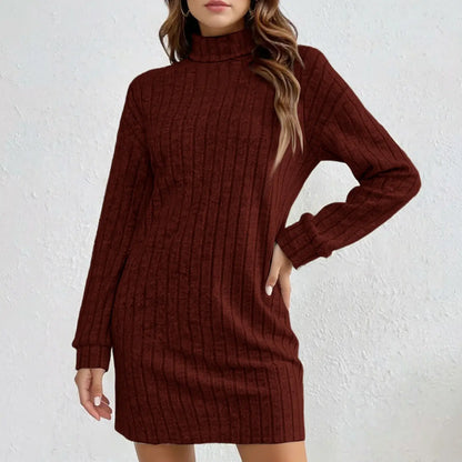 Langley Weekender — Cozy Turtleneck Knit Dress