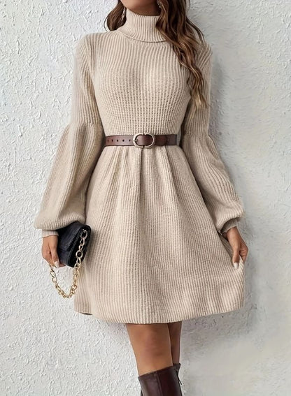Barclay - Ribbed Turtleneck Swing Dress
