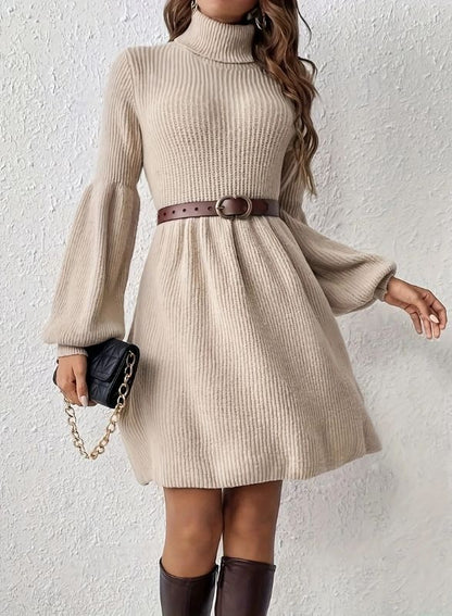 Barclay - Ribbed Turtleneck Swing Dress