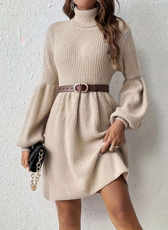 Barclay - Ribbed Turtleneck Swing Dress