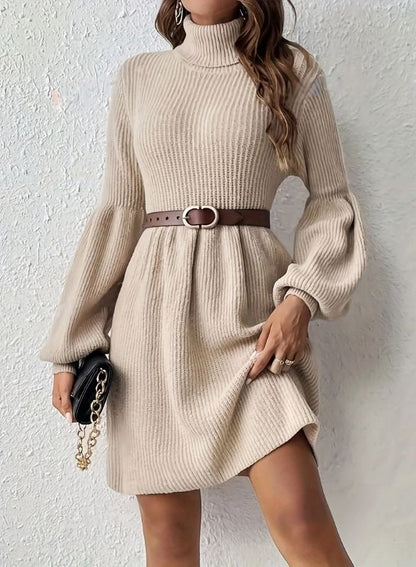 Barclay - Ribbed Turtleneck Swing Dress