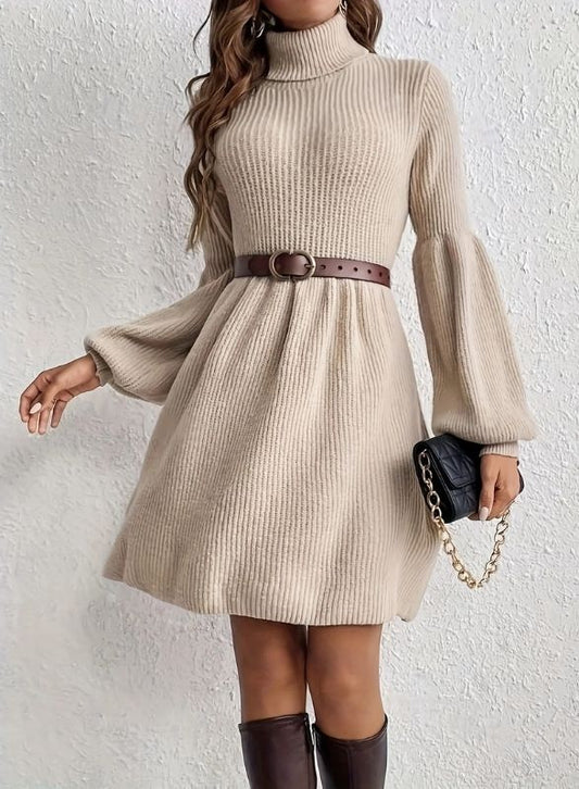 Barclay - Ribbed Turtleneck Swing Dress