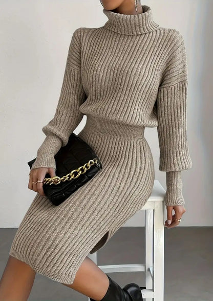 Ashbury - Ribbed Turtleneck Sheath Dress